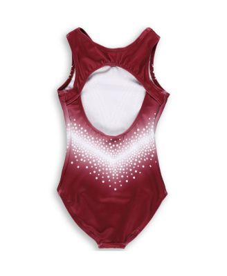 Big Boys and Girls Maroon Minnesota Golden Gophers Elite Replica Leotard