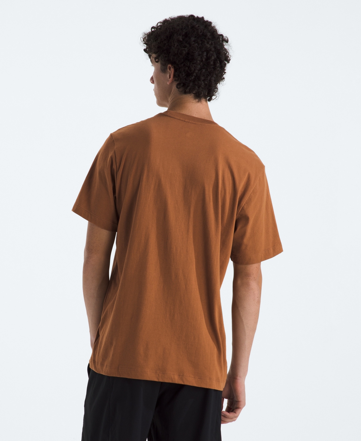 The North Face Men's Evolution Simple Dome Short Sleeve T-shirt In Brown