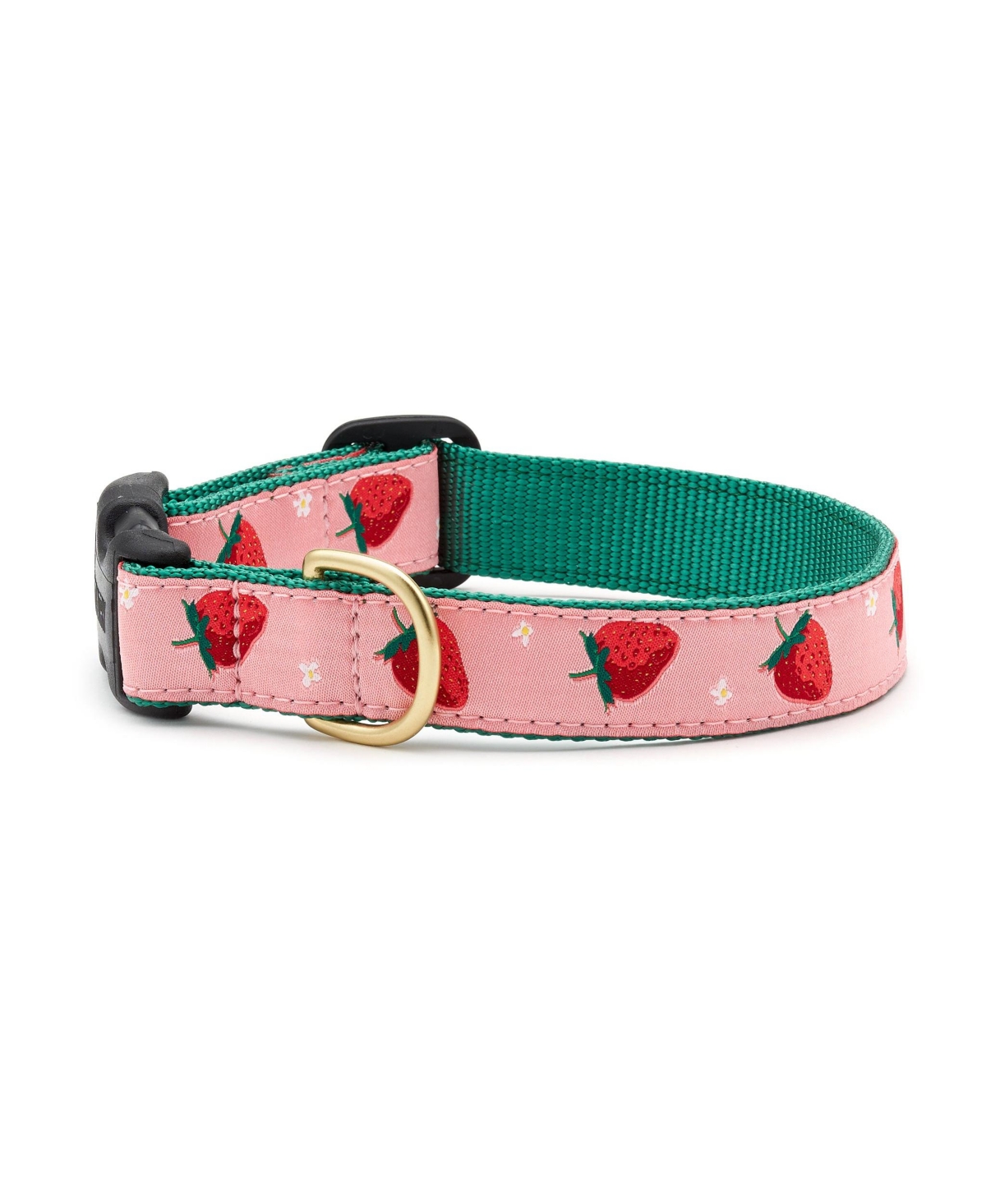 Up Country Strawberry Fields Dog Collar