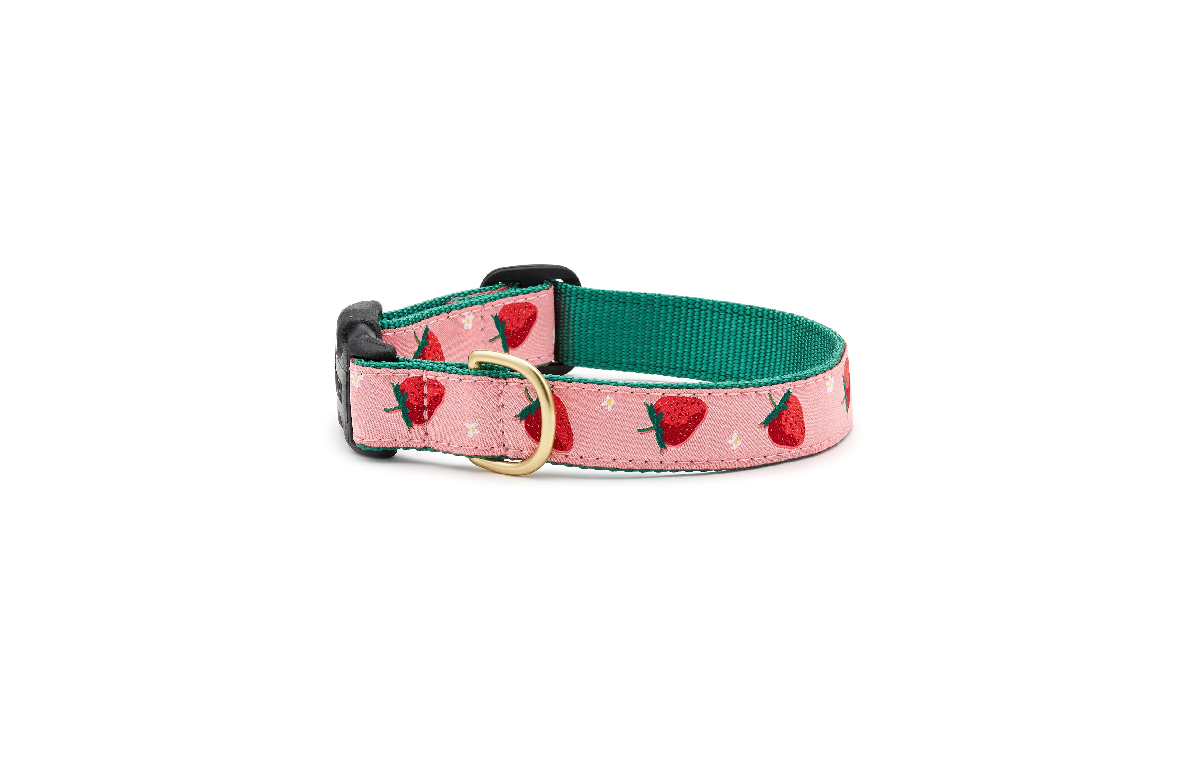 Up Country Strawberry Fields Dog Collar