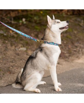 Cherry Blossoms Dog Lead