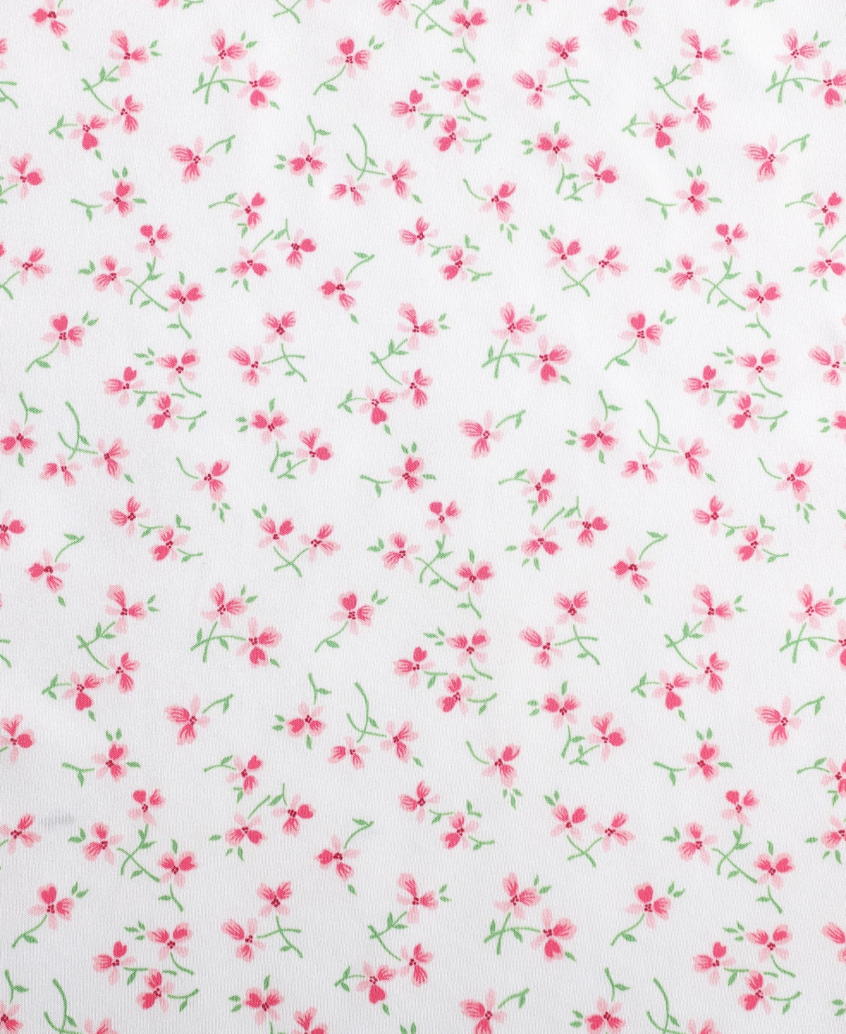Betsey Johnson Silky Microfiber Printed 3-pc. Sheet Set, Twin