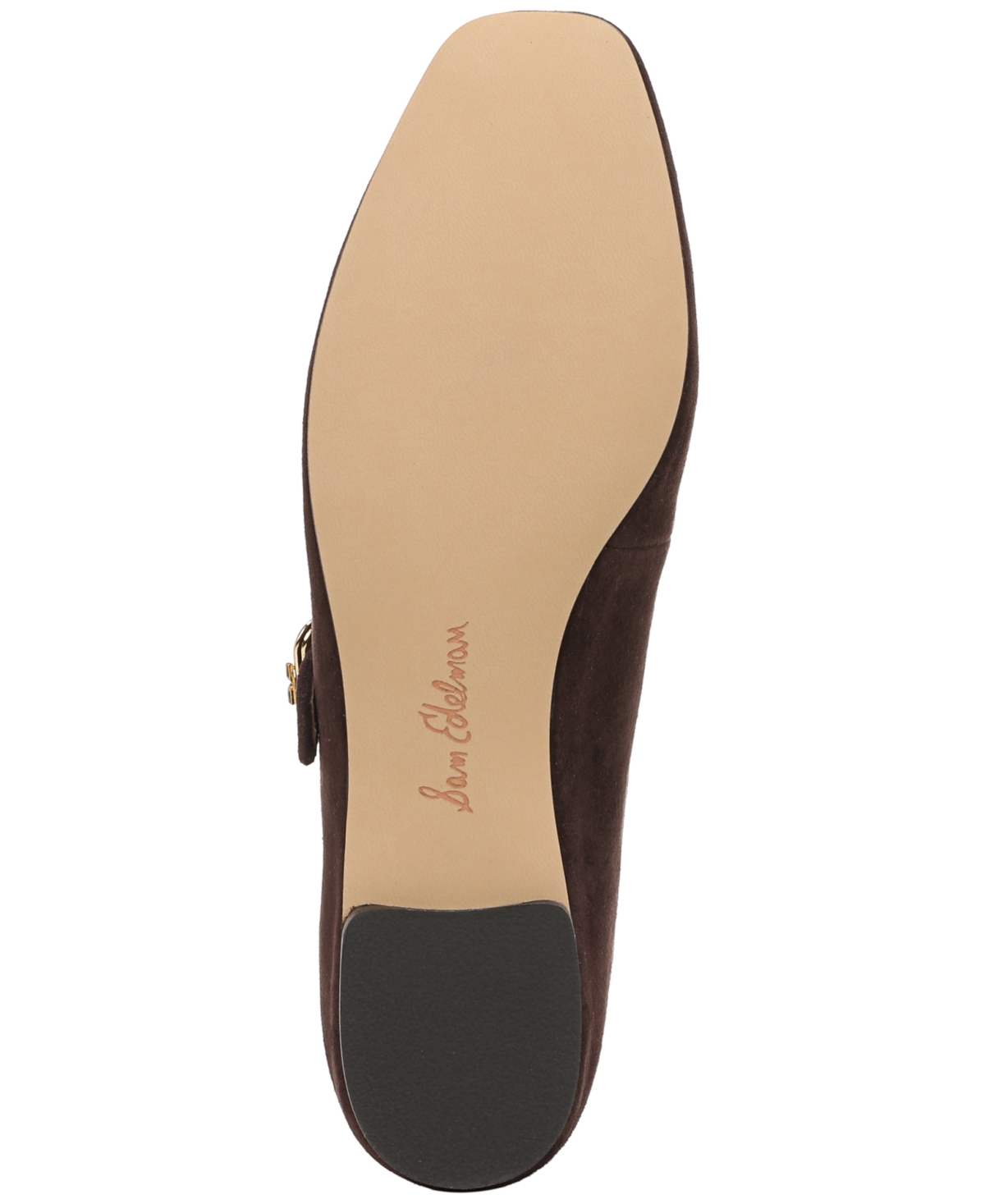 Sam Edelman Michaela Mary Jane Flat In Brown
