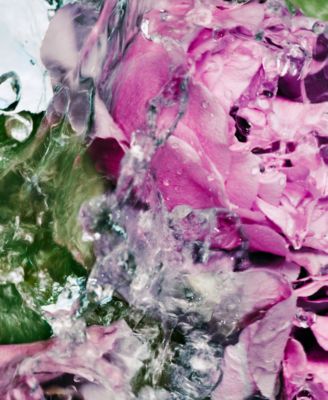 Lost Rose Hand Wash, 15.2 oz.