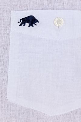 Big & Tall Short Sleeve Linen Shirt