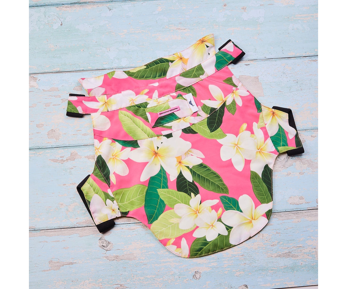 Tommy Bahama Pet Hawaiian Shirt & Apparel Harness