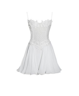 Women Fabiola Lace Trim Silver Net Top Mini Flare Chiffon Dress