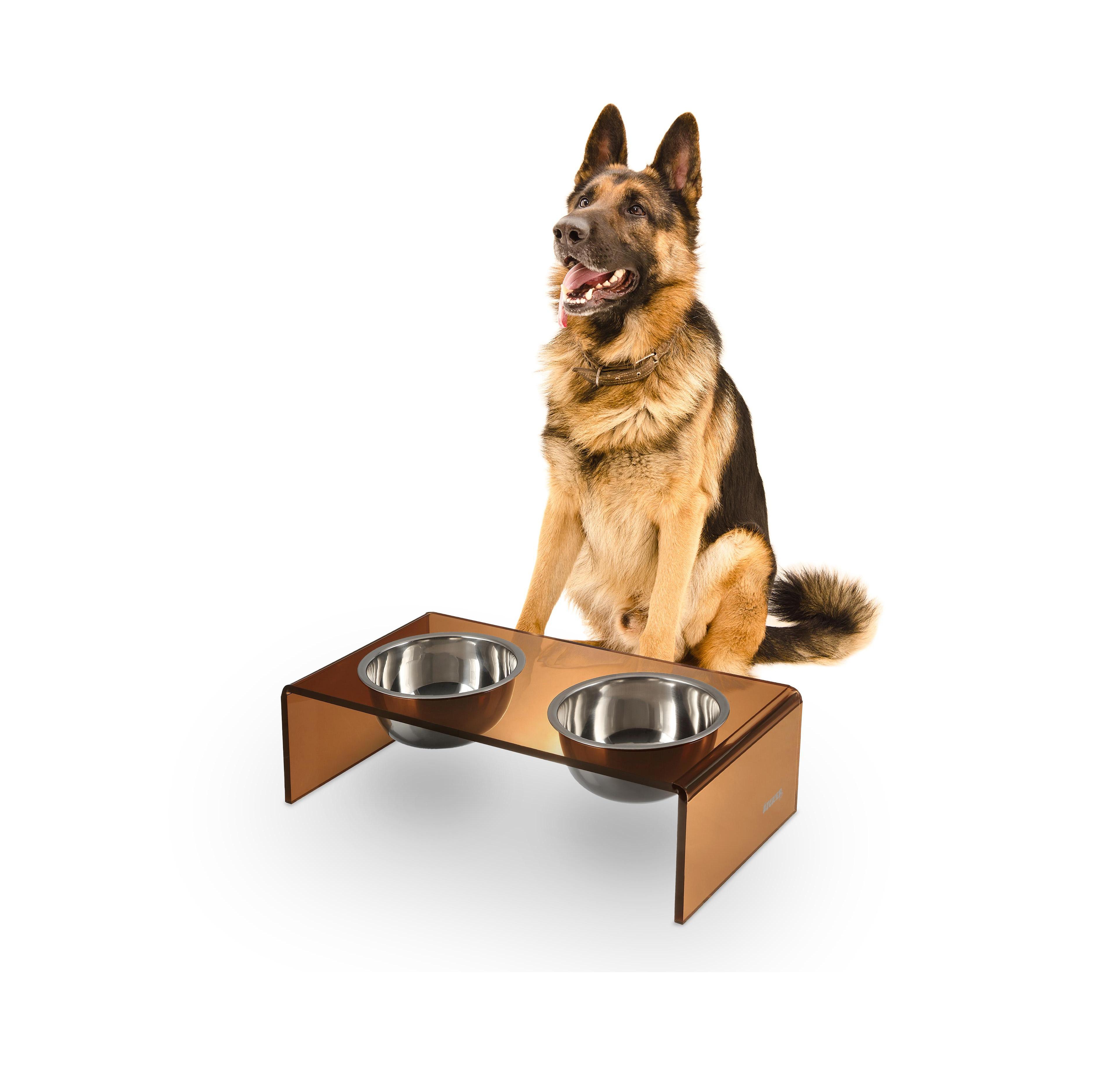 Keaton Modern Acrylic Rectangular Elevated Pet Feeder with 2-Stainless Steel Bowls
