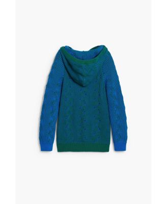 Boys's Blue hooded sweater