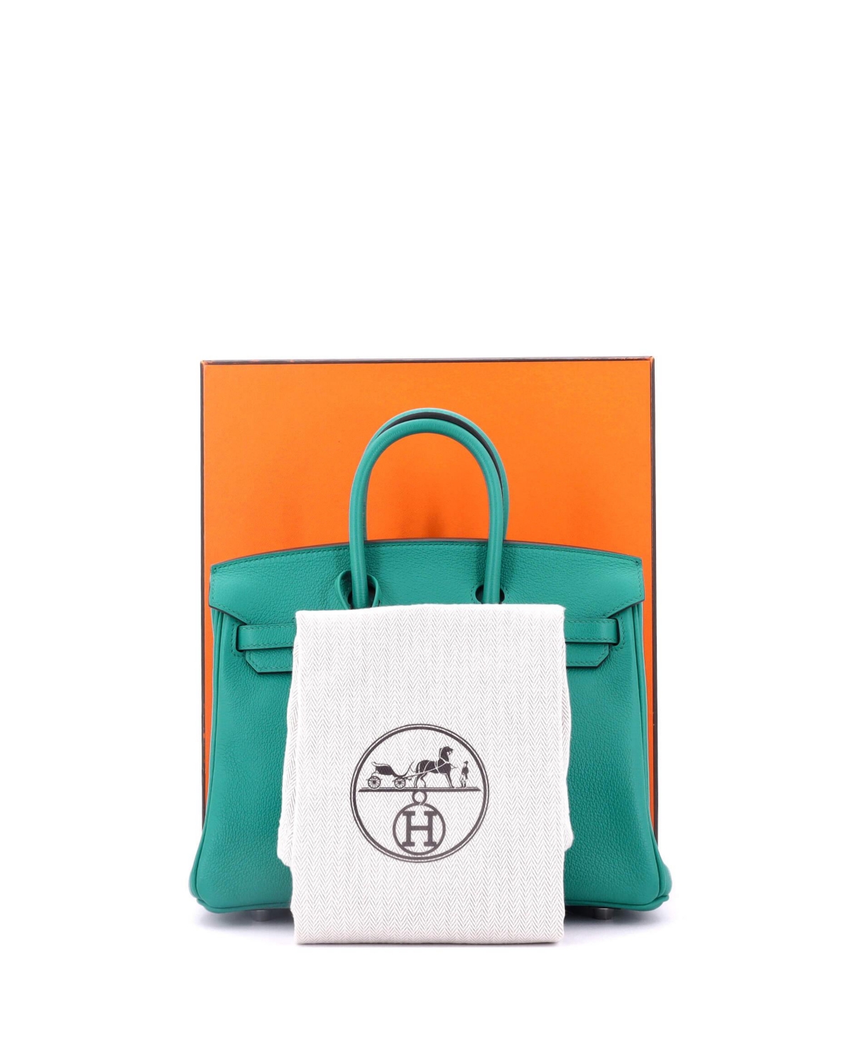 Pre-Owned Hermes Birkin 25 Handbag Verso Novillo with Palladium Hardware
