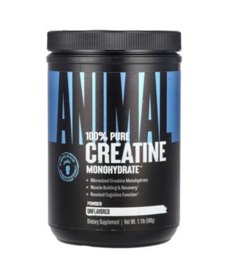 Animal