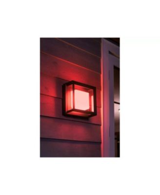 Hue White and Color Ambiance Econic Outdoor Wall and Ceiling Light