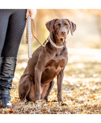 Up Country Gray Buffalo Check Dog Lead