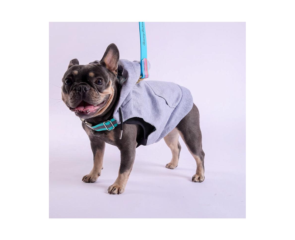 K9 Wear Starter Kit with Grey Hoodie