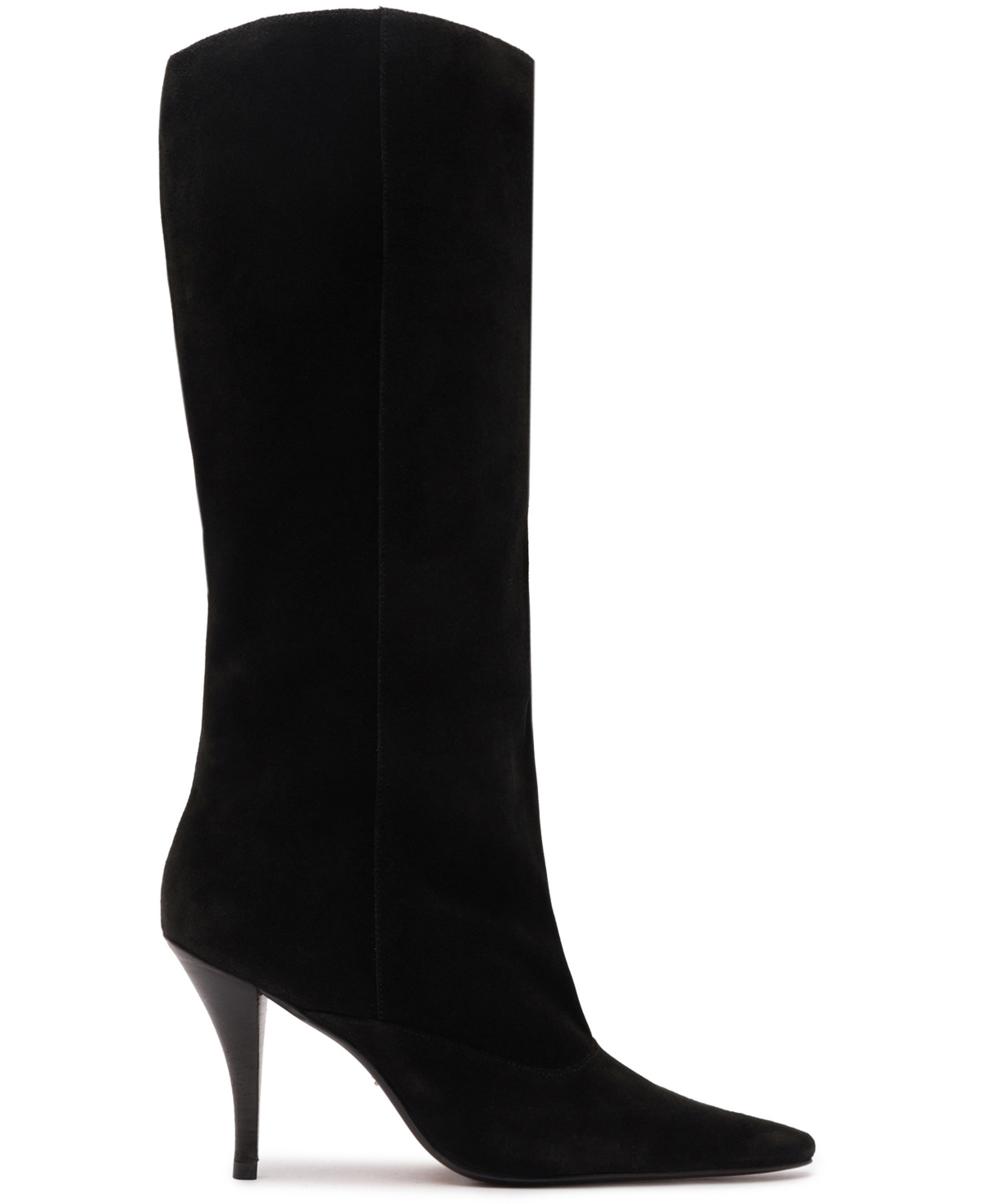 Schutz Rudy Pointed Toe Boot In Black