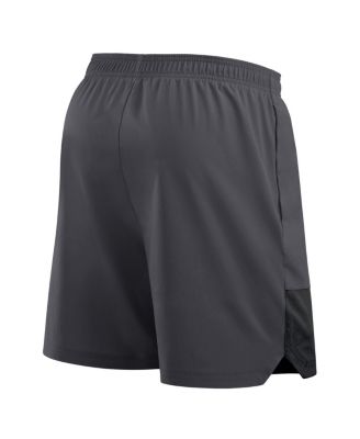 Men's Anthracite Washington State Cougars 2025 Sideline Performance Shorts