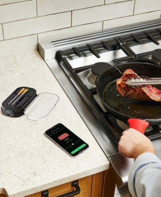 IQ Sense Smart Thermometer, 3 Temperature Probes