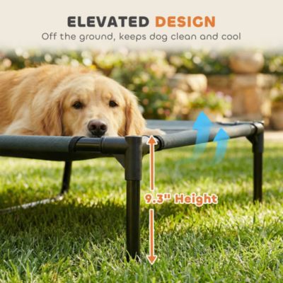 Elevated Pet Bed Dog Foldable Cot Tent Canopy Inst Shelter Outdoor