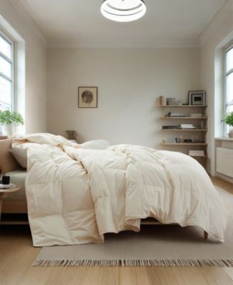 Lightweight Cotton Goose Down Fiber Comforter, Twin