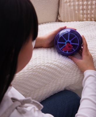 Hamster Ball Interactive Toy