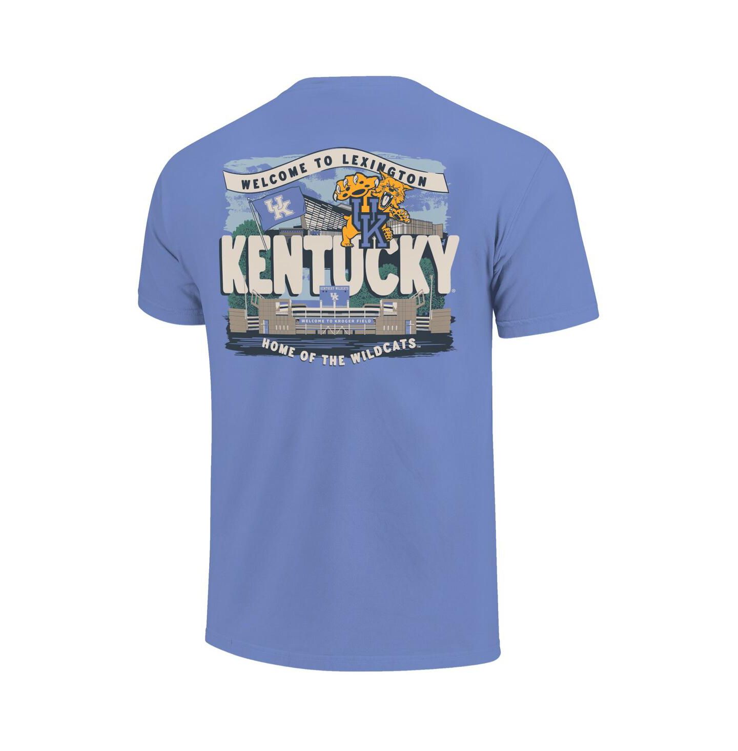 Детская футболка Image One Royal Kentucky Wildcats Comfort Colors Hyperlocal Campus Scene — фото 2