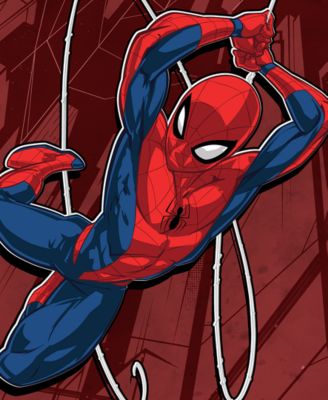 Boys 5-20 Spider Swing Short Sleeve T-Shirt