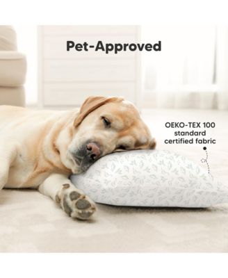 2pk Toddler Pillow, Soft Organic Cotton Toddler Pillows for Sleeping, 13X18 Kids Pillow