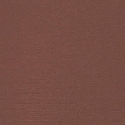 Side Awning Brown Polyester with PU coating 78.7 in x 236.2 in