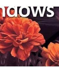 Vivobook Laptop 2025 Ultra Portable Business Computer, 14" FHD Display, 16GB RAM, 1TB Storage (512GB SSD + 500GB Ext), 6-Core Intel i3-1315U, MarxsolAccessory, Win 11 Pro, Lifetime Office 2024