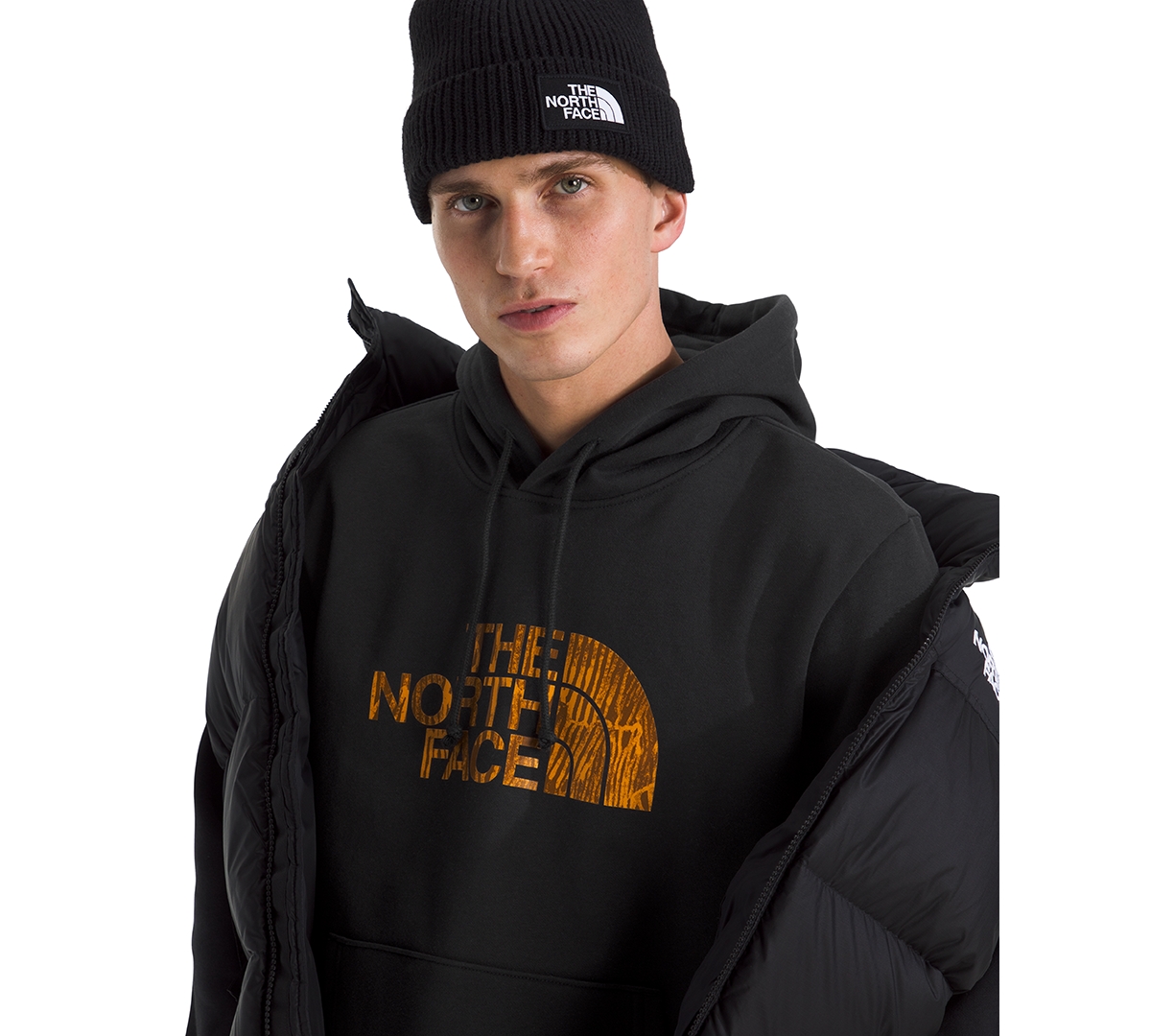 The North Face Men's Evolution Regenerative Ink Half Dome Hoodie In Black