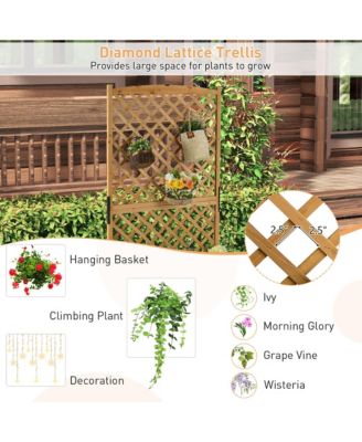 71'' Tall Raised Garden Bed Wooden Planter w/ Trellis for Flower Climbing Plant