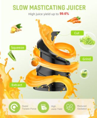 Juicer Machines, Cold Press Juicer, Powerful Slow Juicer with Pulp Seperation For Whole Fruits & Vegetables