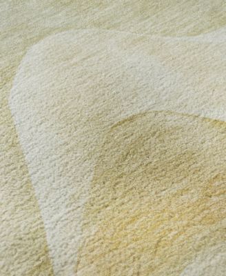 Pacifica Washable PA3 2'6"x3'10" Area Rug