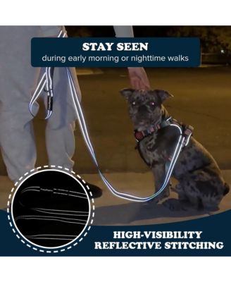 Reflective Leash