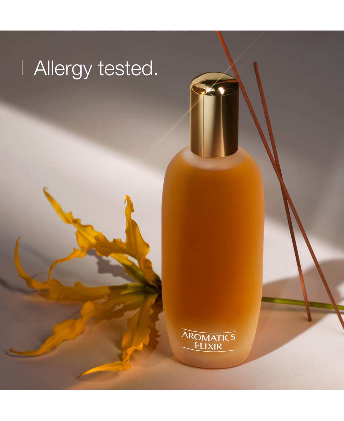 Clinique Aromatics Elixir Riches Signature Perfume Gift Set In Transparent