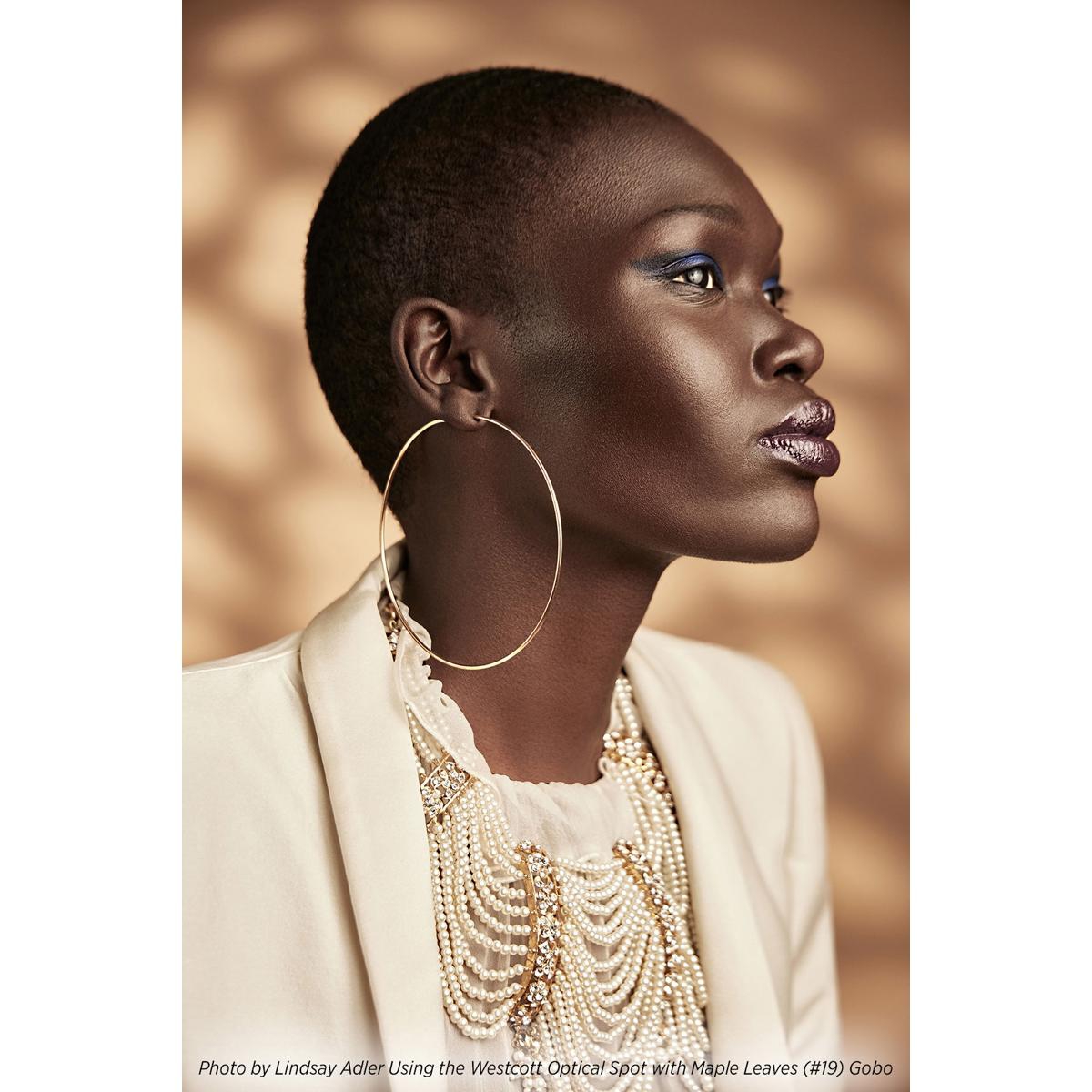 Westcott Environmental Gobo Pack for Optical Spot by Lindsay Adler, 10-Pack