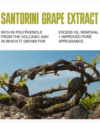 Santorini Grape Poreless Skin Perfecting Toner, 4.23 oz.