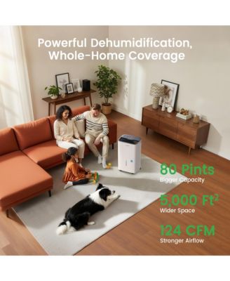 120 Pint Energy Star Dehumidifier with Drain Hose for Home, Basement & Large Space, 6000 Sq. Ft - intelligent Control