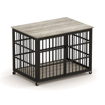 43.3 in. W x 29.9 in. D x 33.5 in. H dog crate wrought iron frame door with side openings in Gray