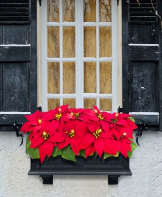 Puleo 24" Pre-Lit Artificial Red Poinsettia Window Box D&eacute;cor
