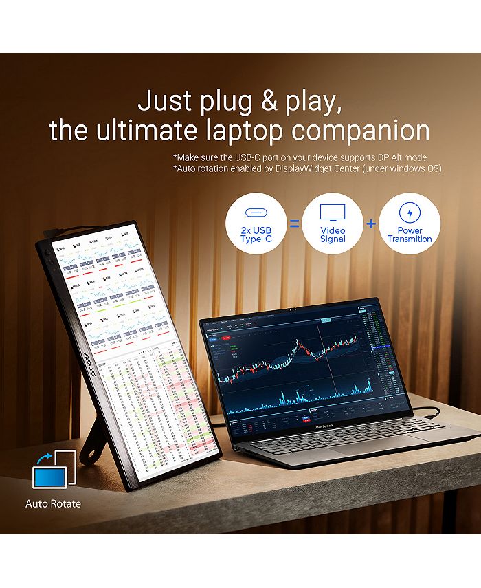 ASUS ZenScreen MB169CK 15.6 16:9 Full HD Portable USB-C IPS LED Monitor