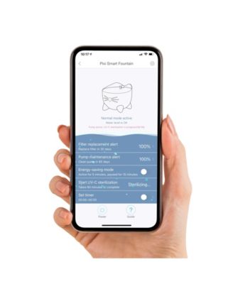 Pixi Smart Drinking Fountain, Stainless Top