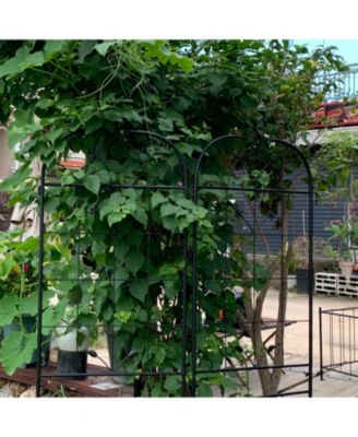 Metal Garden Trellis 2-Pack for Climbing Plants