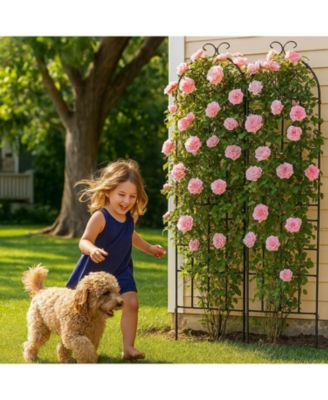 Metal Garden Trellis 2-Pack for Climbing Plants