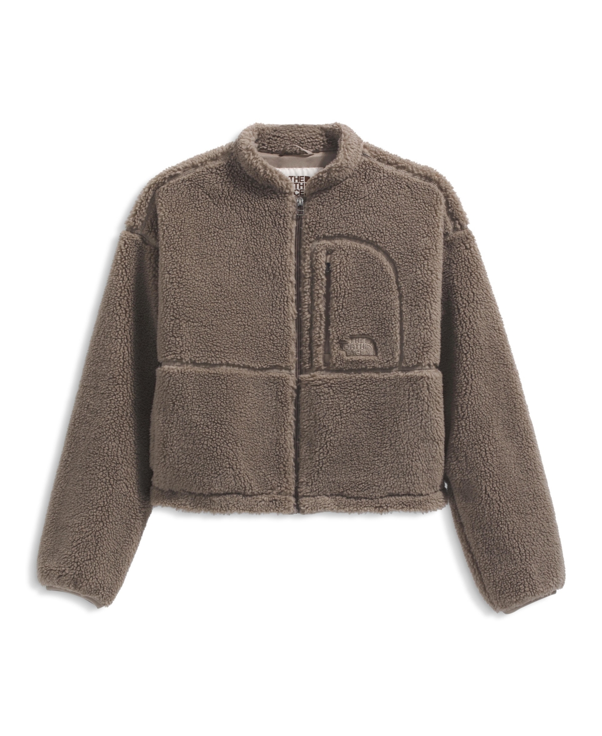 The North Face Women's Extreme Pile Fleece Jacket In Brown