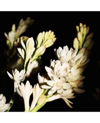 Gold Le Vestiaire Parfum, 1.1 oz.