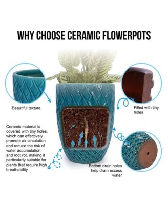 Modern Ceramic Planter Pot