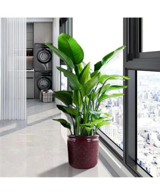 Set of 3 Modern Ceramic Planter Pots