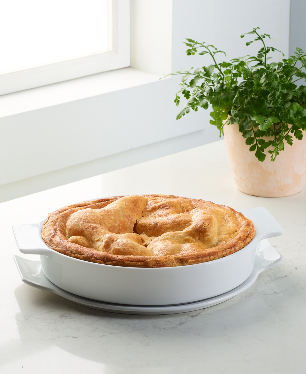 The Cellar Whiteware Pie Dish, Macy's Exclusive In Transparent
