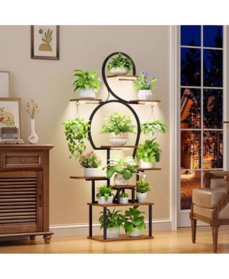 Chic Crate